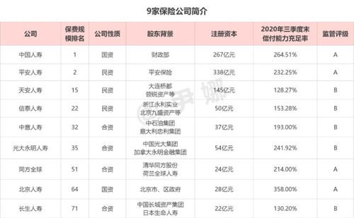 热销商品盘点：揭秘Umka主营产品清单