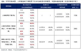 大型企业税率的公平竞争维护