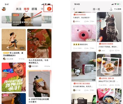 二、 京东种草官入驻流程详解