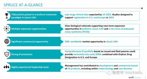 步骤 4：账户审核与开设