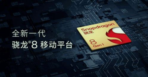 三、 Ozon平台的多元化市场布局