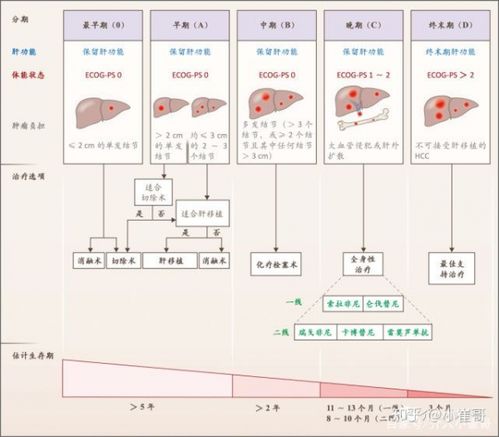 7. 处理异常情况