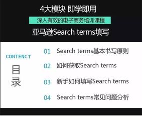 后台关键词的重要性及其在流量入口中的作用