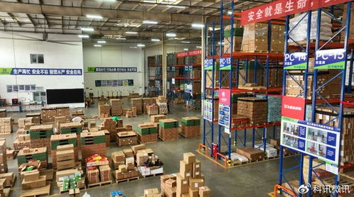 头部企业的冷链物流实践