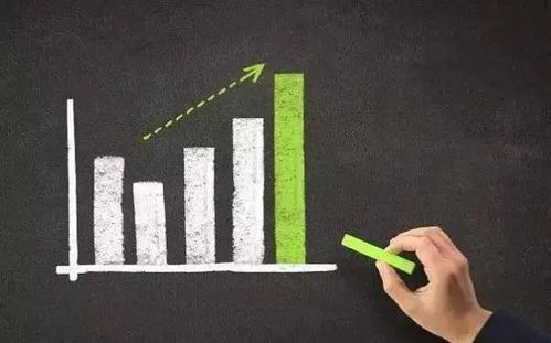 4. 商品类目错误