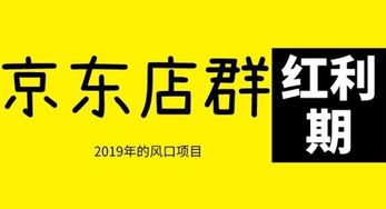 三、 京东极速版推广代理模式的优势与劣势