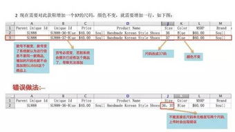 二、 上传CSV文件：整合信息的关键环节