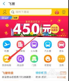 一、 支付宝飞猪删除乘机人信息的必要性及重要性