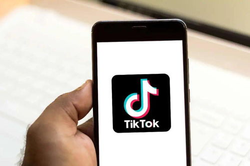 二、 TikTok开店费用具体分析