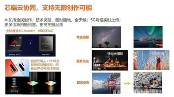 十二、 短视频MCN机构