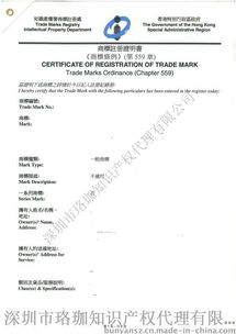 递交申请：启动商标注册之旅