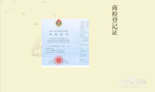 香港注册贸易公司：全面解析流程及实用指南