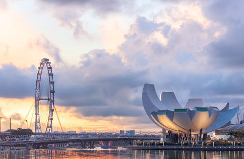 所需准备的资料