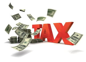 国际双重征税：不容忽视的税务问题