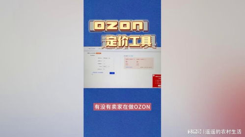 一、 俄罗斯Ozon平台简介