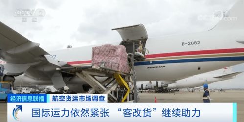 结构性运力缺口与“动态定价”机制