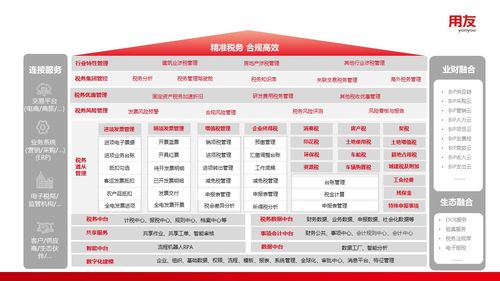 税务管理体系的建立：确保合规与稳健运营