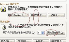4. IE设置的问题