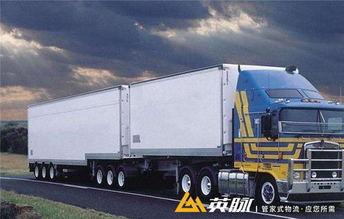 一、 冻鸡运输背景及现状