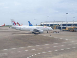 其他适合空运的货物类型