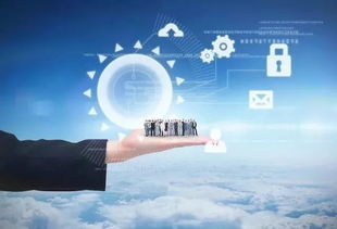 1. 过分重视销量的增长