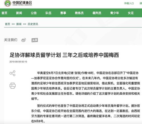 文化适配：把握关键文化要点