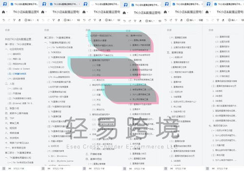 2. 无货源带货模式的优势