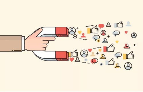 一、 圣诞节KOL营销的重要性