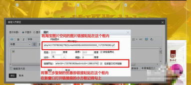 2.1 进入自定义区
