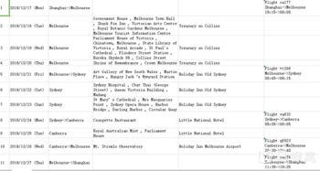 高效报关：提前审核与电子清关