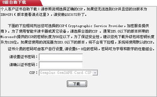 十四、 申报价值的一致性与准确性