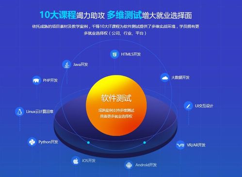 二、产品选择与物流模式