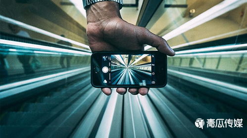 优质动态内容卡片， 有机会参与公域流量分发