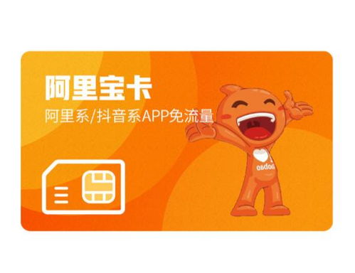 二、 阿里宝卡的主要特点