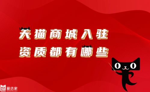 二、 天猫旗舰店入驻具体条件