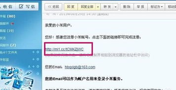 3. 输入电子邮件地址