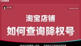 三、淘宝店铺运营的基础：数据分析