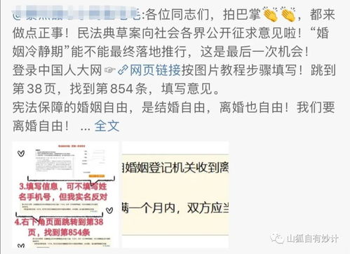 三、 七天无理由退货运费说明