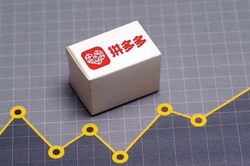 一、 官方认证：品质的基石