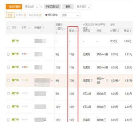 三、新店直通车优化技巧分享