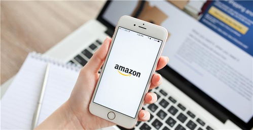 二、 亚马逊配送模式解析