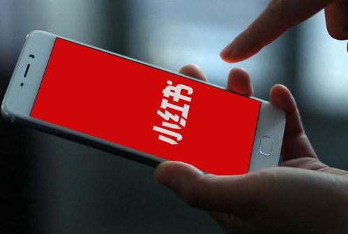 tong过SE...与上的优质用户、大V或品牌进行合作推广是快速引流的有效手段。