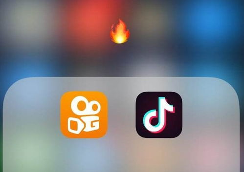 二、 要注意些什么