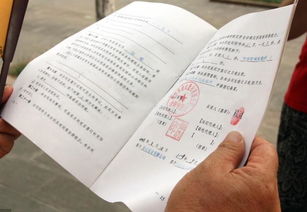 五、 明确违约责任