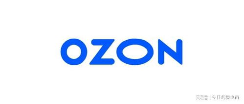 五、 ozon平台优势