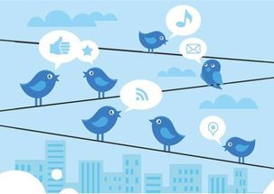 深入探讨长尾关键词在Twitter营销中的应用