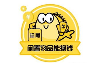 闲鱼与咸鱼的差异