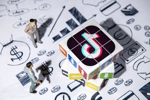 二、 商品正品性探讨