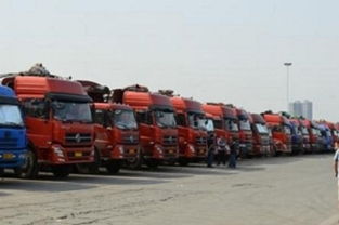 ：精准把握旺季运量