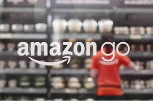 二、 亚马逊未来的结账方式：Dash智嫩购物车